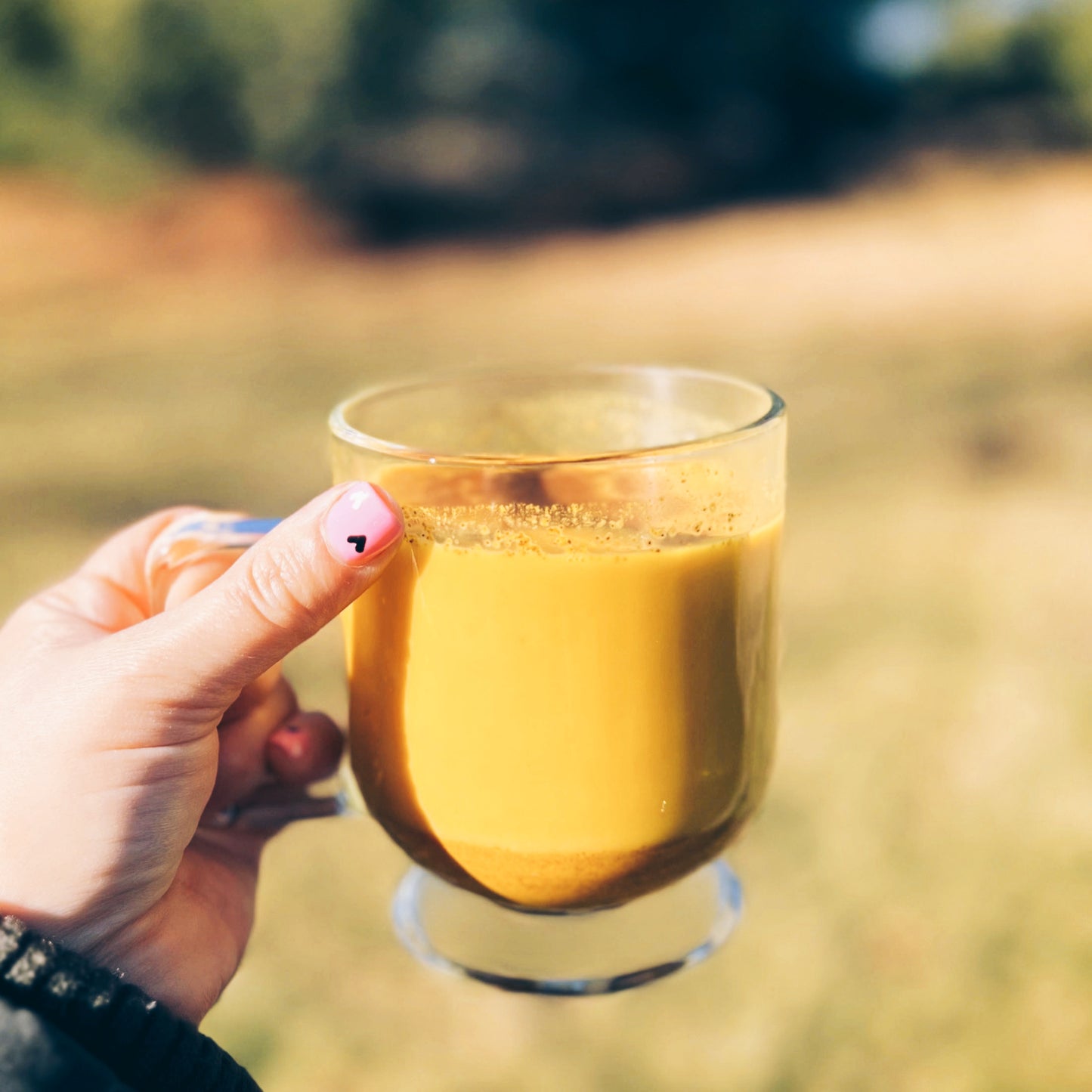 Organic Golden Milk Botanical Latte Mix