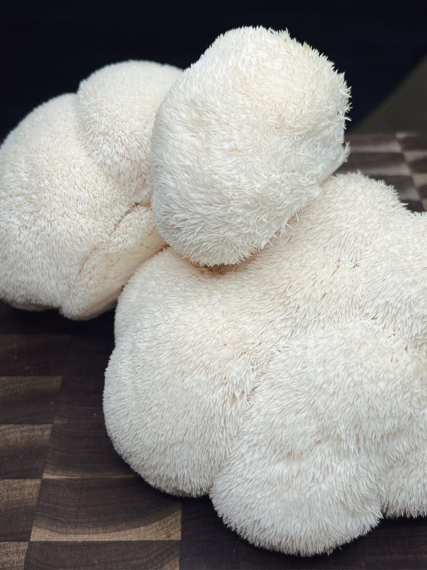 Lions Mane Focus and Energy**Most Popular**