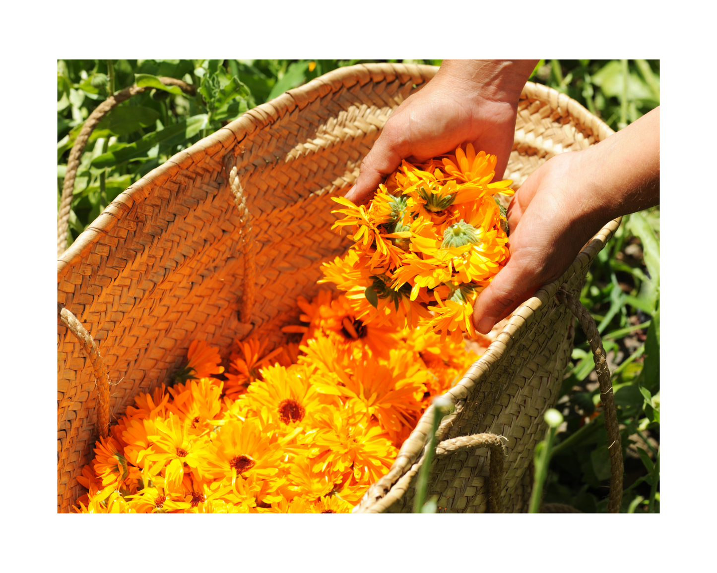 Love your Face Serum