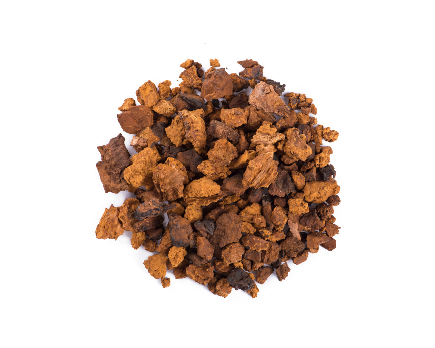 Mushroot Immune System Support