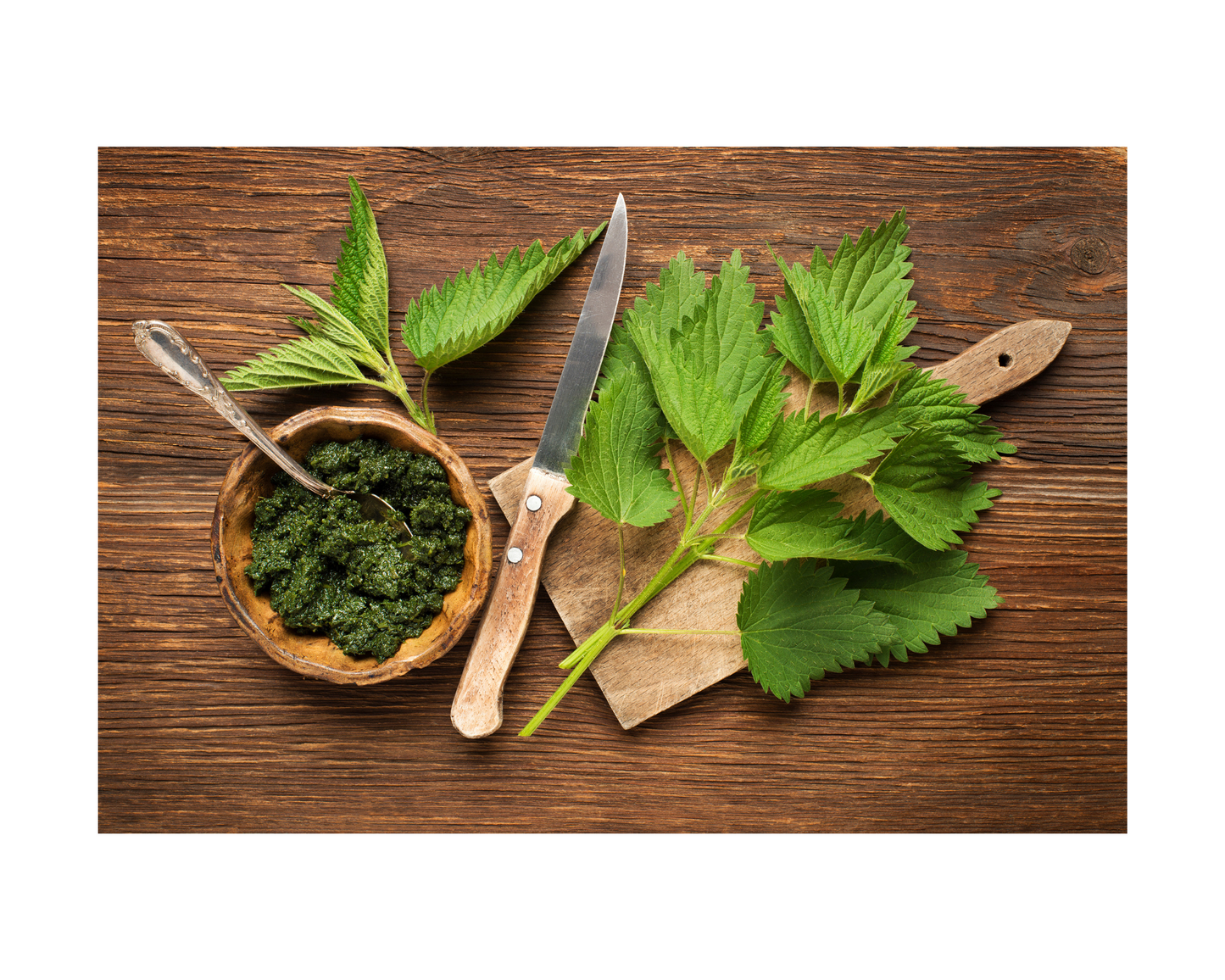 Nettle Leaf