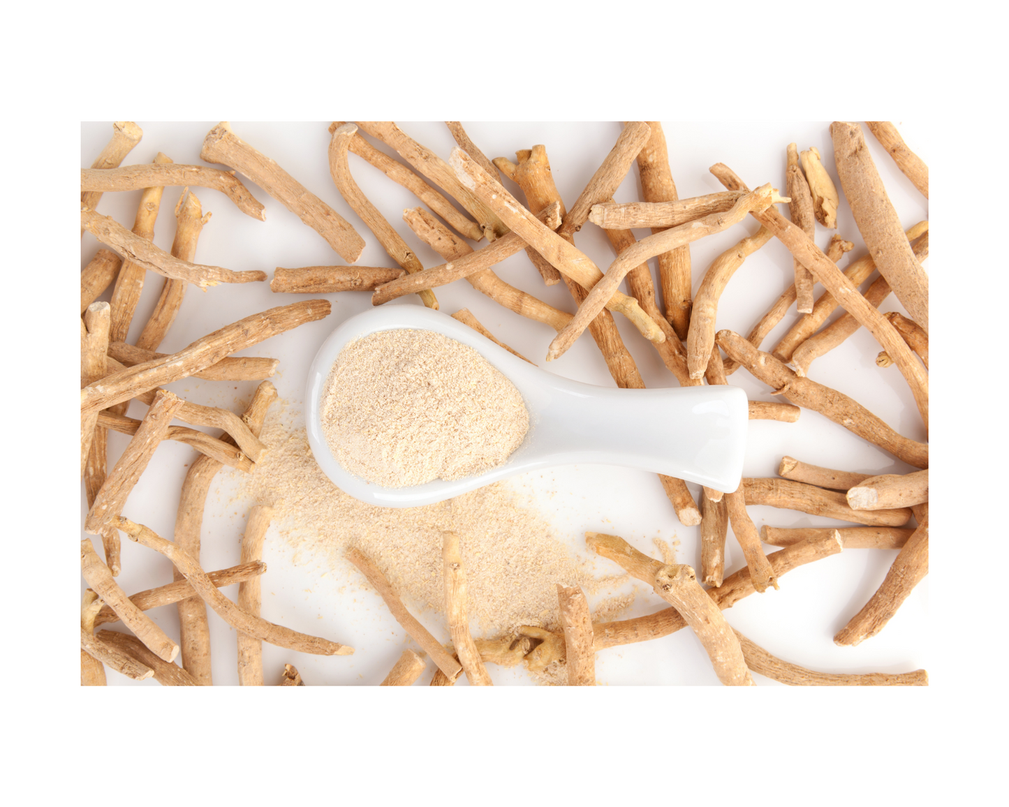 ***New***Mushroom and Adaptogen Cocoa
