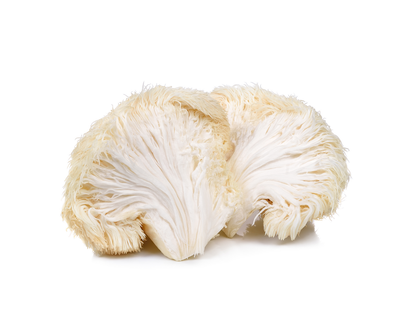 ***New***Mushroom and Adaptogen Cocoa