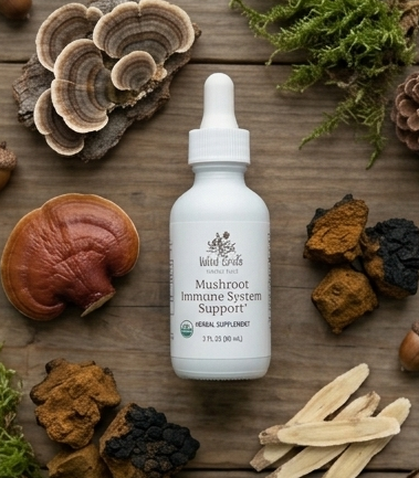Mushroom immune system support supplement bottle on a wooden surface with mushrooms and herbs.