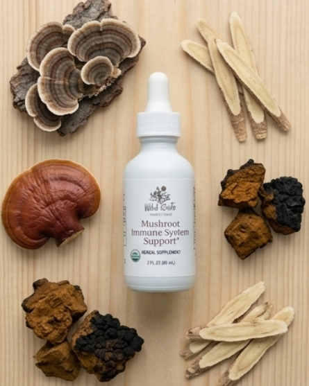 Mushroom supplement bottle with dried mushrooms on a wooden surface