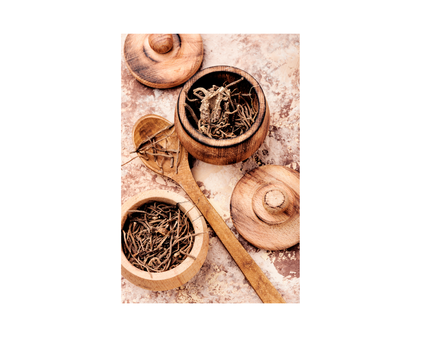 Elderberry Feel Well - #1 Seasonal Seller